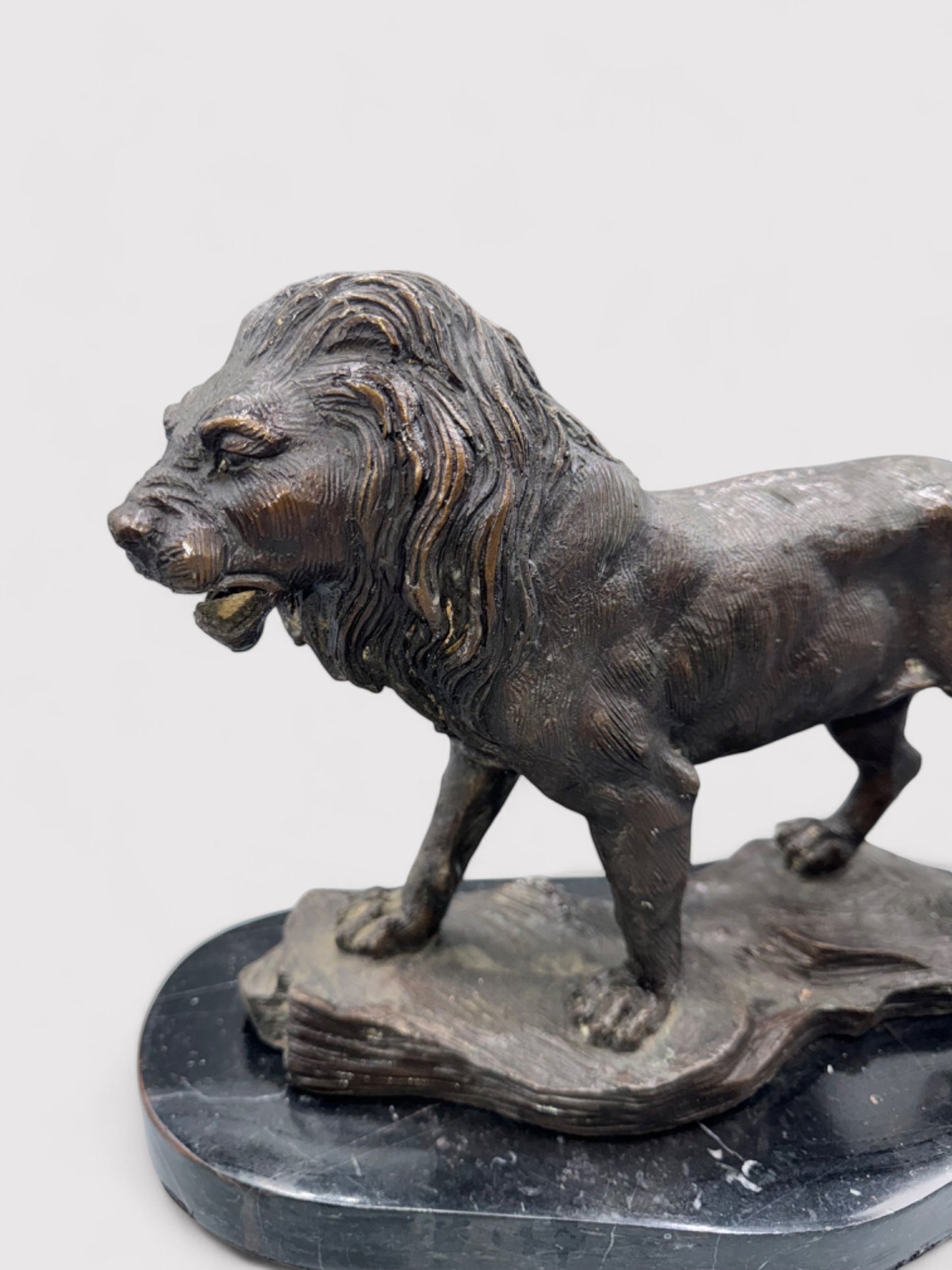 Nahaufnahme des Kopfes. Bronzeskulptur eines stehenden Löwen in Dunkelbraun und Schwarz, 24 cm hoch und 30 cm lang; aus massiver Bronze gefertigt, geeignet für Innen- und Außenbereiche. Detaillierte Verarbeitung mit natürlicher Patina, die dem Löwen einen antiken Charakter verleiht. Artikelnummer 0044.