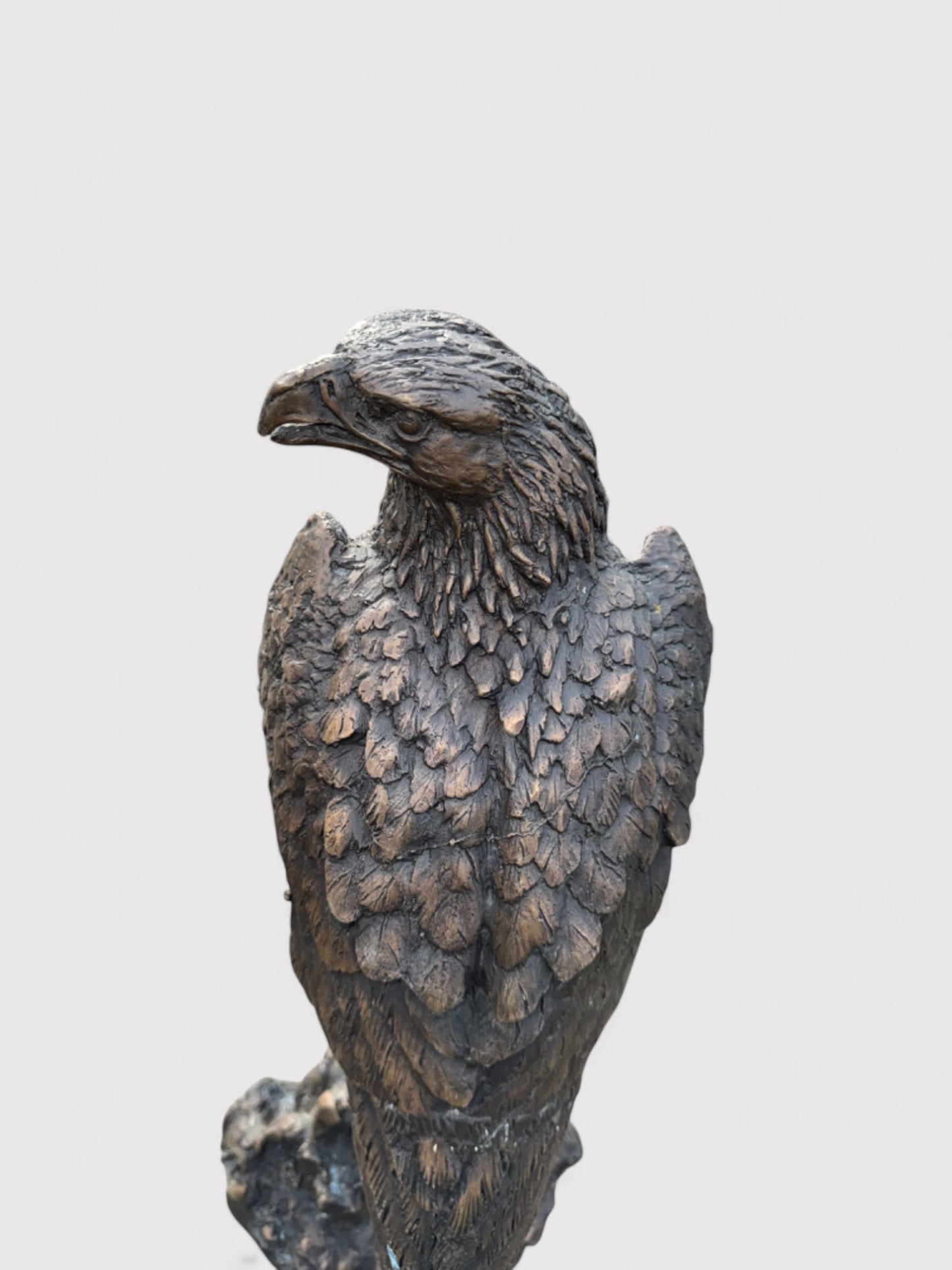 Ansicht von Oben. Bronzeskulptur eines Adlers in Dunkelbraun mit grüner und schwarzer Patina, 41 cm hoch und 21 cm breit; geeignet für Innen- und Außenbereiche. Sehr feine Federmaserung. Detailliert und langlebig dank massiver Bronze, mit natürlicher Patina für antike Ausstrahlung. Artikelnummer 0043.