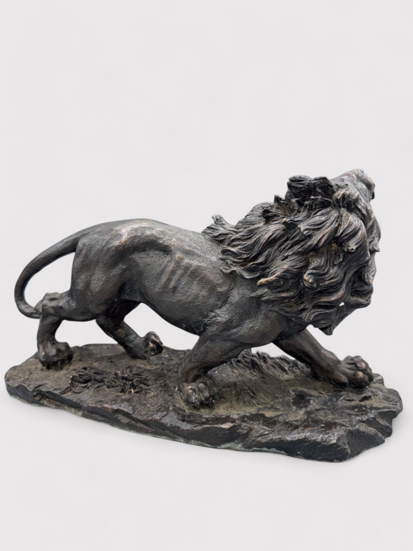 Brüllender Bronze Löwe, L 38cm