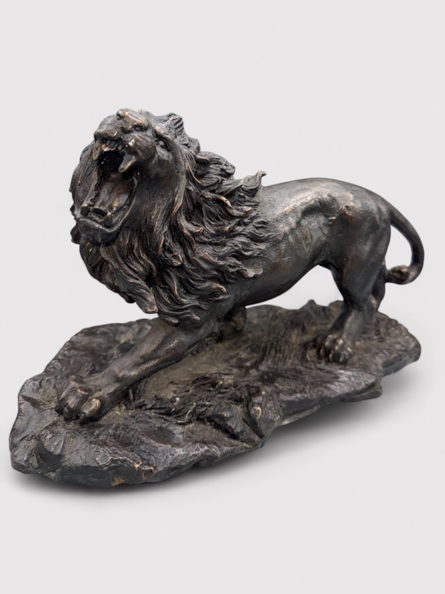 Brüllender Bronze Löwe, L 38cm