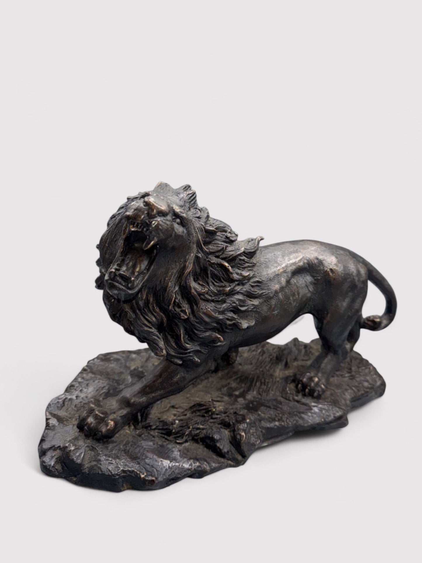 Brüllender Bronze Löwe, L 38cm