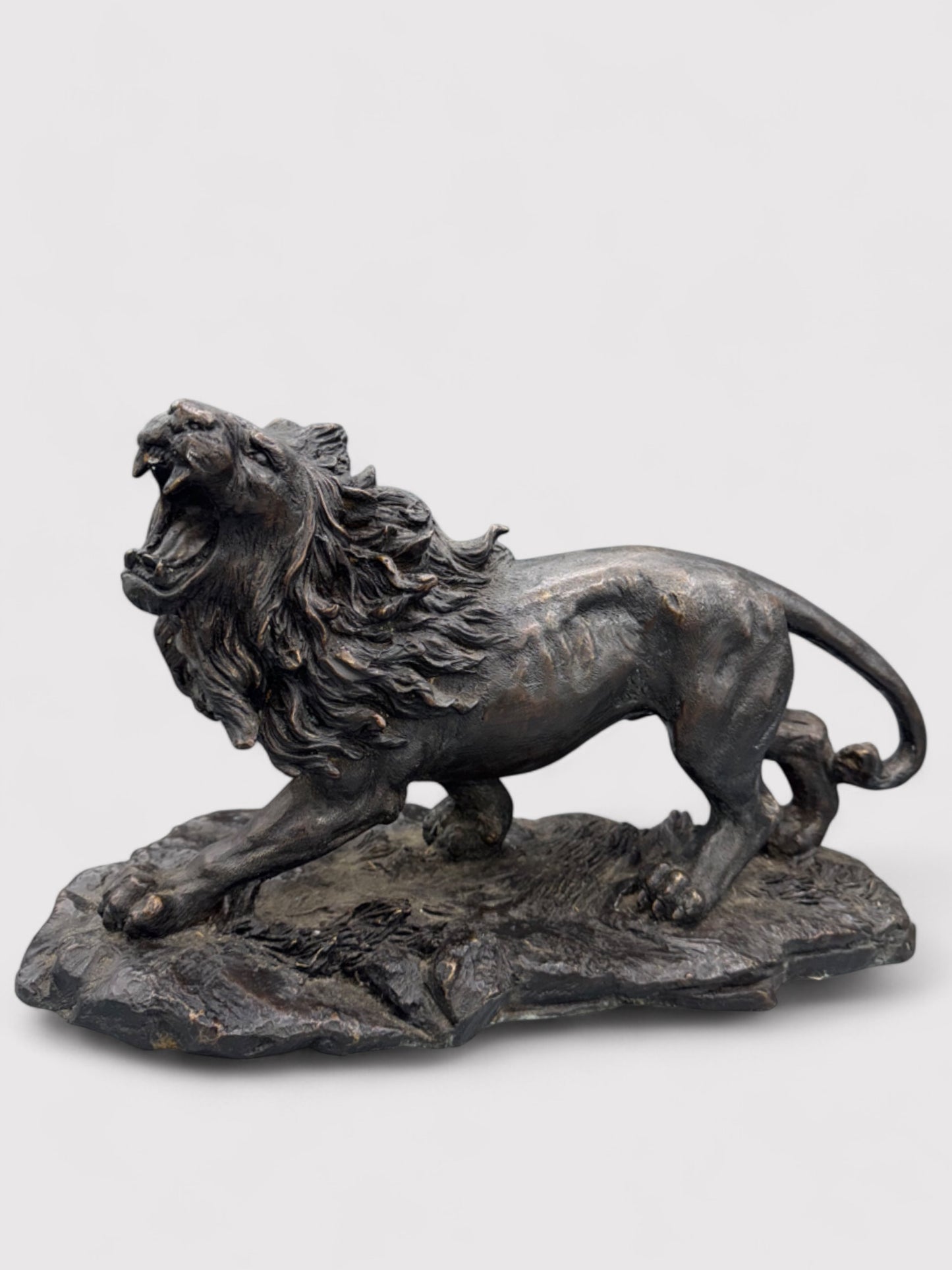 Brüllender Bronze Löwe, L 38cm