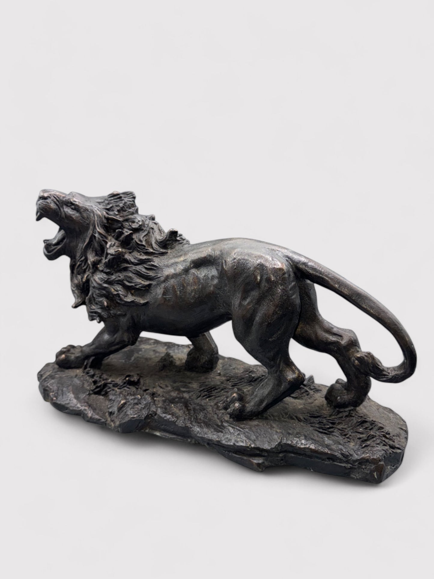 Brüllender Bronze Löwe, L 38cm