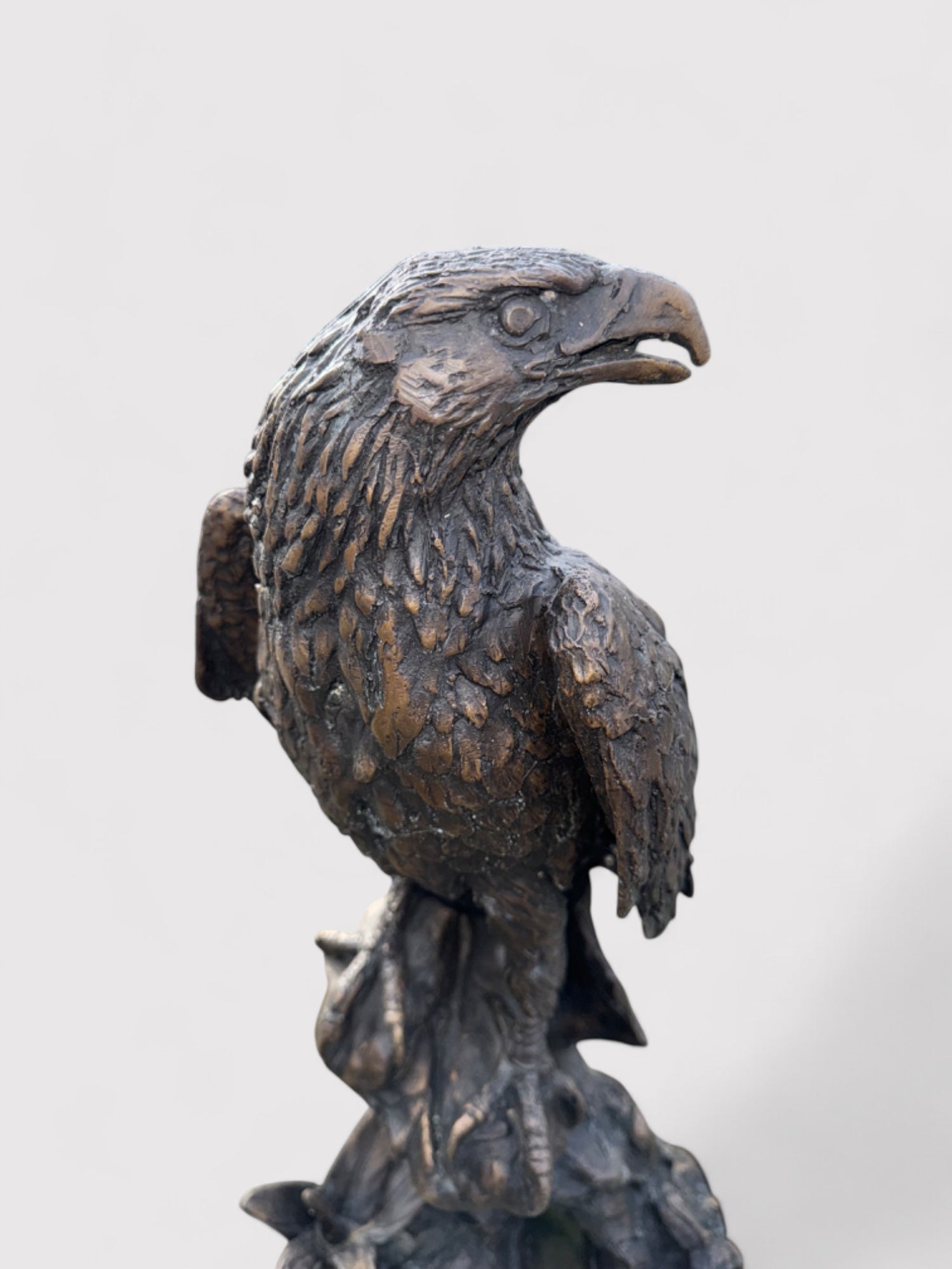 Bronzeskulptur eines Adlers in Dunkelbraun mit grüner und schwarzer Patina, 41 cm hoch und 21 cm breit; geeignet für Innen- und Außenbereiche. Detailliert und langlebig dank massiver Bronze, mit natürlicher Patina für antike Ausstrahlung. Artikelnummer 0043.